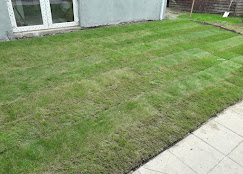 Beautiful Outdoor Stone Paving